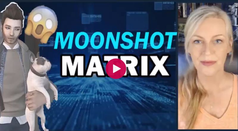 Datei:Moonshot Matrix.jpg