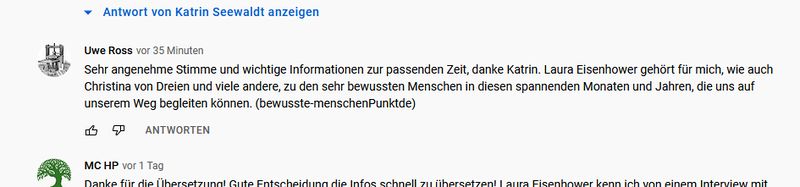 Datei:Kommentar verfaelscht fuer Katrin Seewaldt ausgeloggt Firefox.jpg