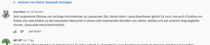 Datei:Kommentar verfaelscht fuer Katrin Seewaldt ausgeloggt Google Chrome.jpg