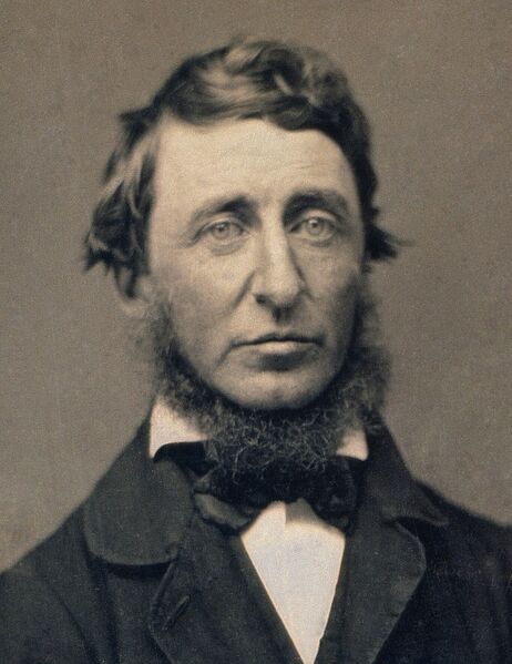Datei:Henry David Thoreau.jpg